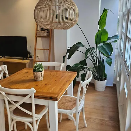 Vivienda En El Centro De La Ciudad